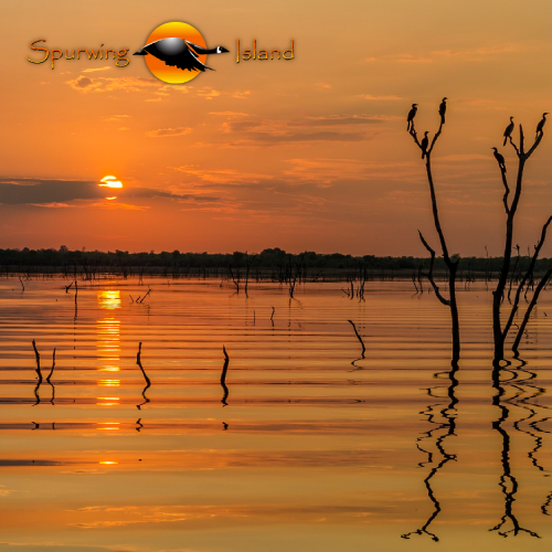 2 Nights for 2 at Spurwing Island